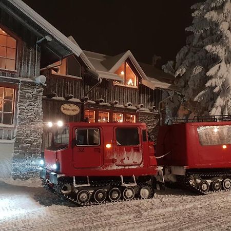 Backes Lillstuga Villa Borlänge Buitenkant foto